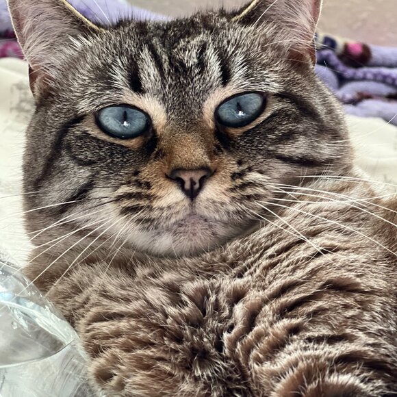 Meet your Posher, Hala - Picture 2 of 2